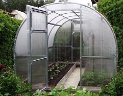 
            Теплица Садовая-ЦИНК в г Егорьевск