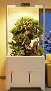 
            HX-01 Smart Garden