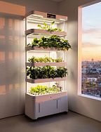 
            Гидропонная система H5 Smart Garden