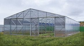 
            Теплица Фермерская 11,5 в г Егорьевск