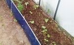 Распродажа Ограждение для грядок