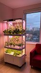 Гидропонные системы H3 Smart Garden
